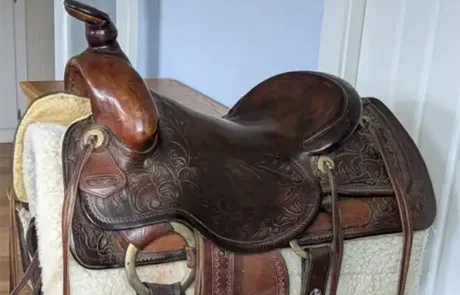 Saddle for sale in online auction